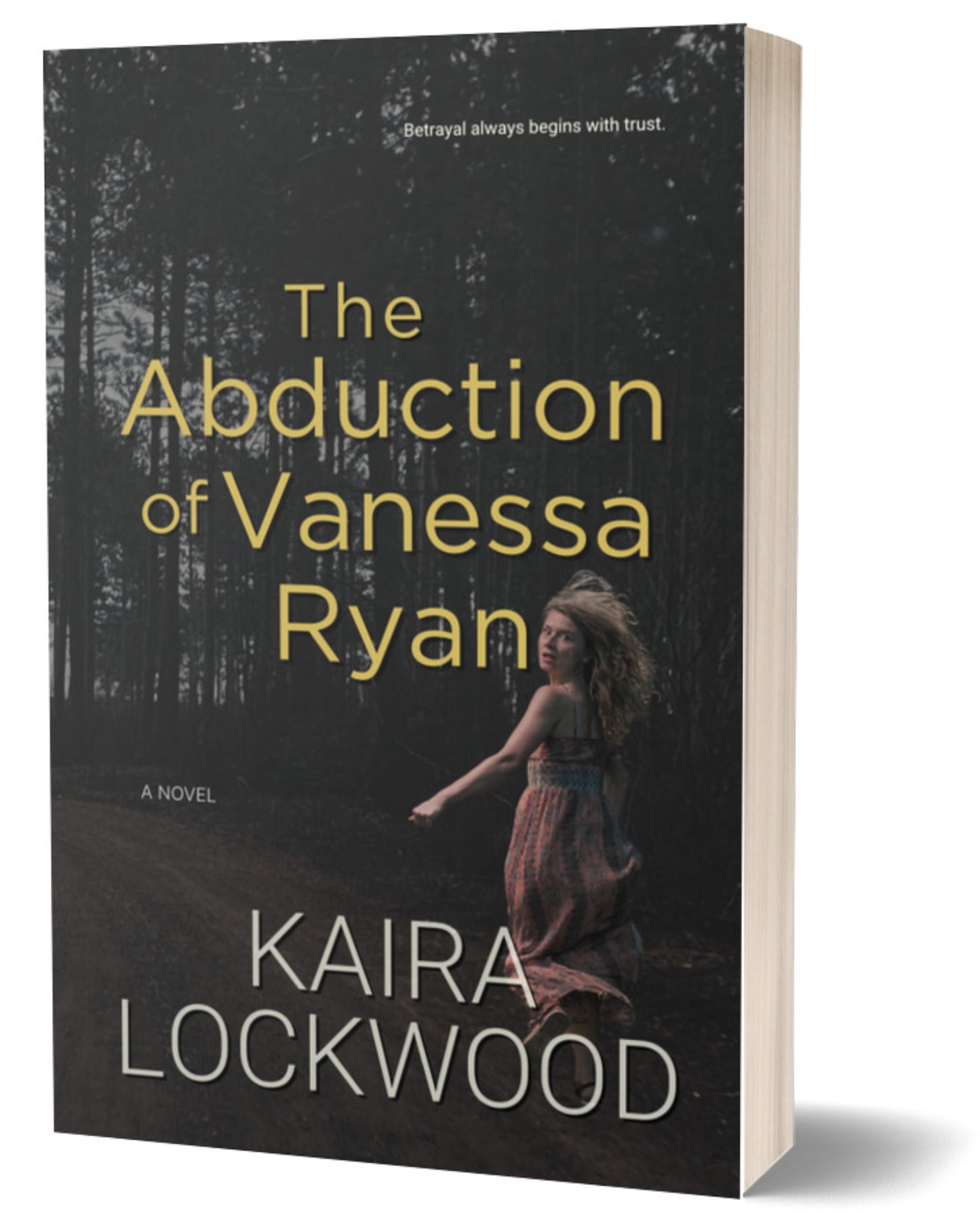 The Abduction of Vanessa Ryan