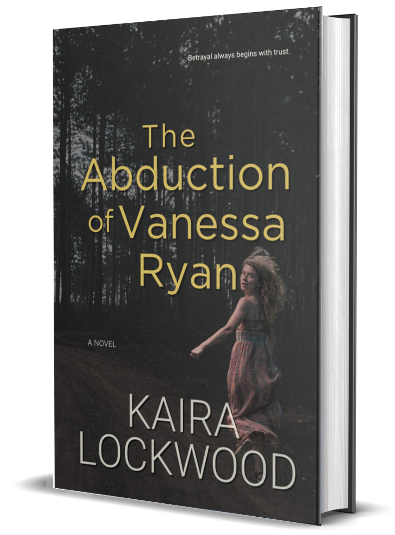 The Abduction of Vanessa Ryan